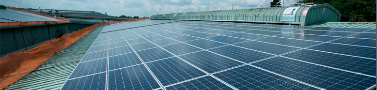 Điện mặt trời hòa lưới và hiệu quả kinh tế mang lại